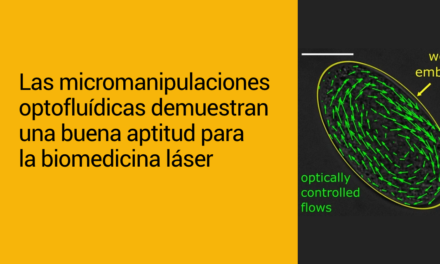 Las micromanipulaciones optofluídicas demuestran su aptitud para la biomedicina láser