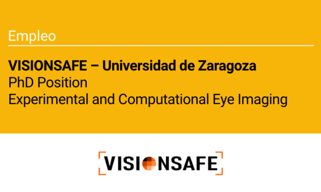 La Universidad de Zaragoza ofrece una plaza de doctorado dentro del proyecto europeo VISIONSAFE